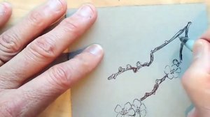 Drawing Bushes with Pen and Using Toned Paper