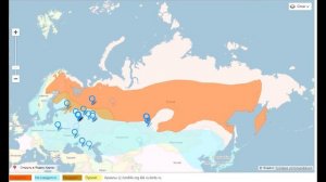 Миграции свиристелей в России и сопредельных странах