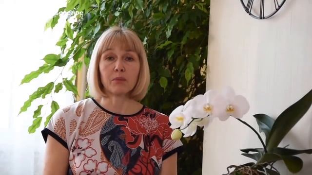 Шикарные и некапризные композиции цветов для дачи в корзинах и горшках