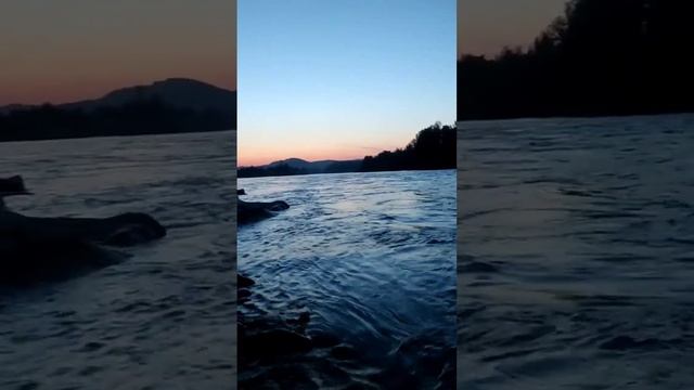 Здравствуй, Сибирь! #горноалтайск #катунь #сибирь #горноалтайск2023 #горныйалтай #travel смотреть онлайн