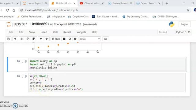 python donut plot