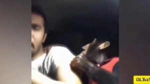 Парень кричит вместе с обезьяной | The guy screams along with the monkey