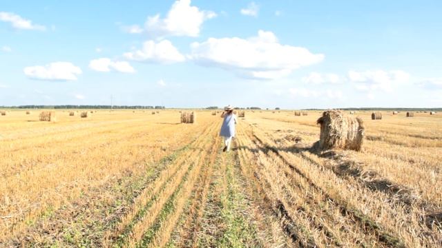 Sunflowers fields  ПОДСОЛНУХОВЫЕ ПОЛЯ!