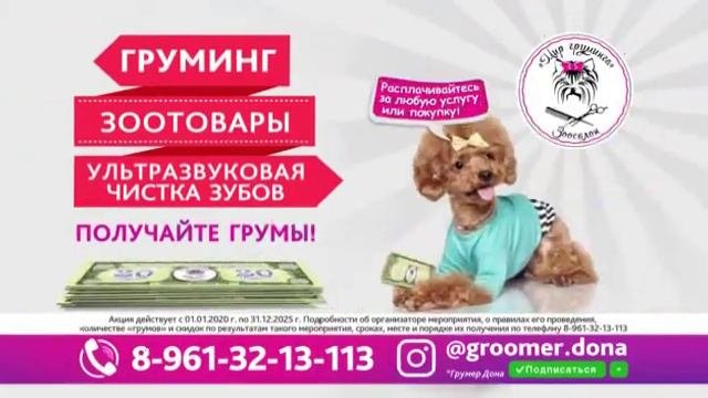 Реклама зоосалона
