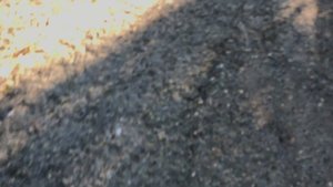 Настройка тормозов электросамоката Kugoo G1 или любого другого.