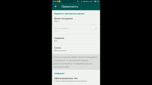 Настройка конфиденциальности в WhatsApp