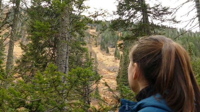 Мамай Золотая Осень. Природа. смотреть онлайн