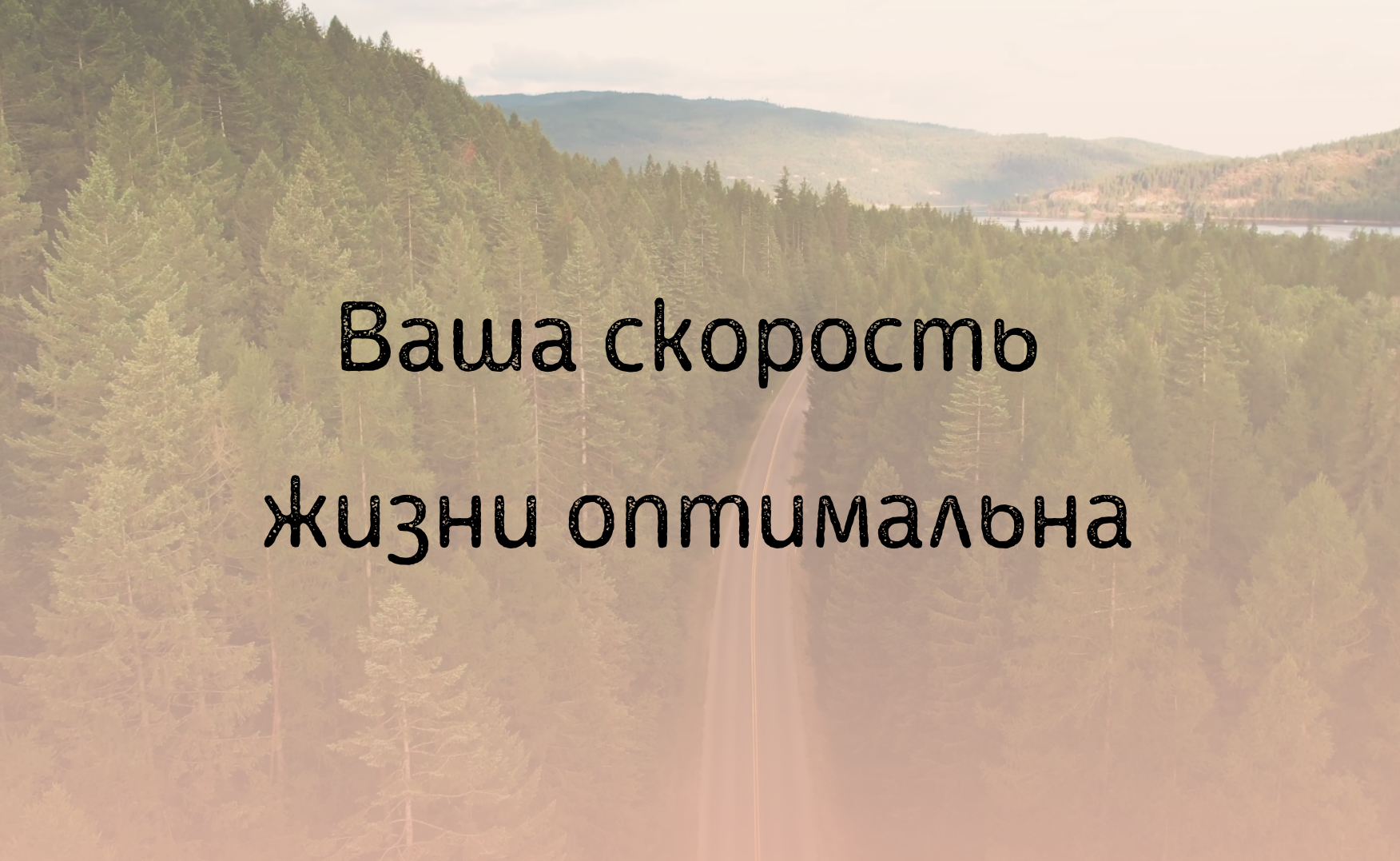 Ваша скорость жизни оптимальна смотреть онлайн