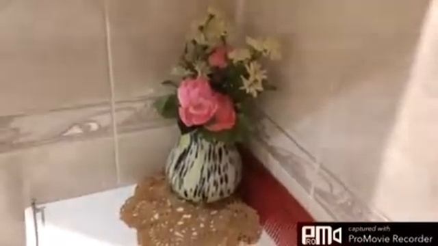 Подвесное кашпо из плафона.
