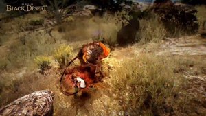 [Black Desert] Мистик