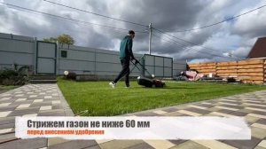 Вечно-зеленый газон | Осенняя подкормка газона | Какие удобрения вносить осень? - Артем Свиридов