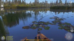 Русская рыбалка 4,Оз.Медвежье Троф Амур,Фарм серебра и опыта,амур белый,амур черный,карп