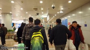 Beijing Capital Airport Arrival 2020 PEK Terminal 2