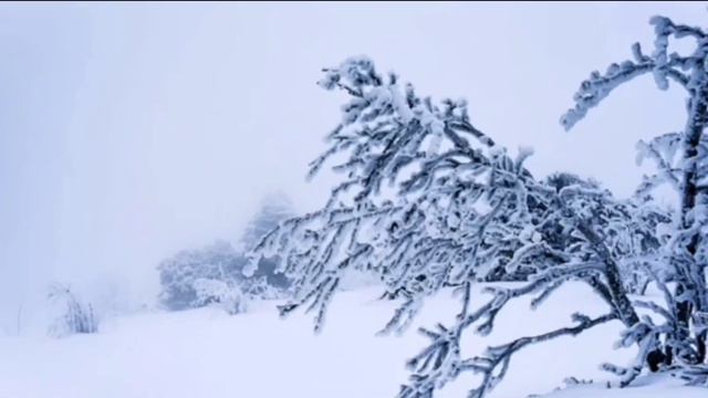 пов: Твоё состояние по жизни смотреть онлайн
