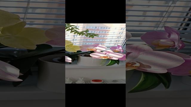 Однажды, ты поймешь☝ Моё счастье☺✨