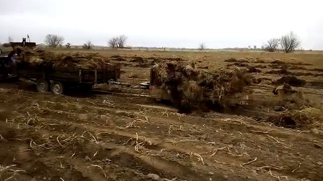 элементарный простейший навозоразбрасыватель