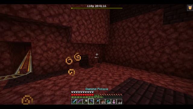 FARM DI BLAZE! - Minecraft ITA - Survival 1.15 #63 смотреть онлайн