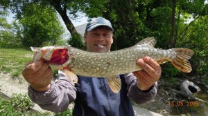 ЩУКА НА СИЛИКОН.