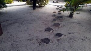 лучший отель Занзибара