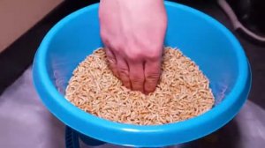 Мы Нашли КЛЮЧ в КУБЕ ЛЬДА...