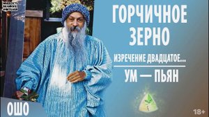 20. "Ум - пьян". ОШО. ГОРЧИЧНОЕ ЗЕРНО
