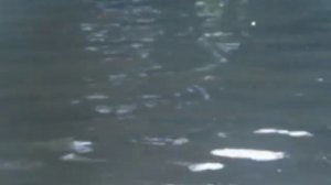 Гидроцикл Веджест (Вихрь 30л.с.).mp4