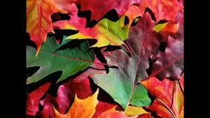 'Золотая Осень' стихи Б. Пастернака