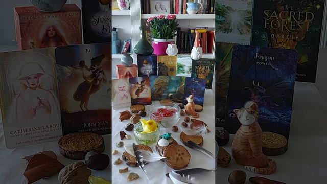 Virgo ♍ Catherine Laboure. Horseman. Deep Emotions. The Mystical Shaman. Dragon. смотреть онлайн