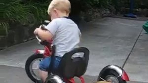 Two Year Old Rides a New Red Schwinn Tricycle