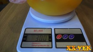 Как приготовить еду для йоркширского терьера  / чем кормить