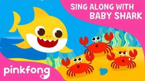 Baby Shark Went On a Trip | Sing Along with Baby Shark | Pinkfong Songs for Children