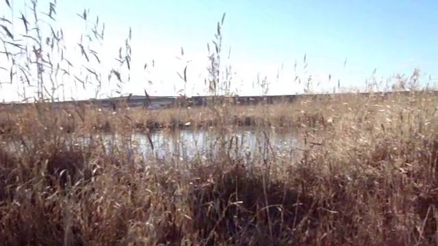 Ловля ельца. Речка Сереж. смотреть онлайн