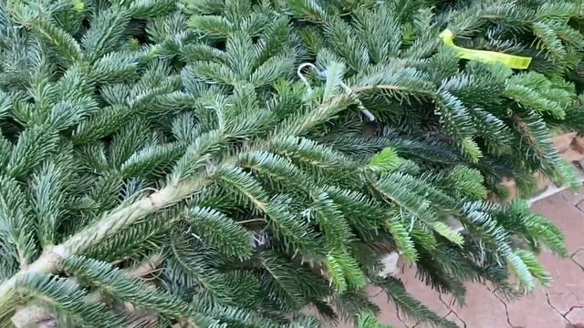 Рождественские закупки
