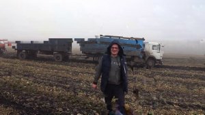 Уборка свеклы -5   Туман и грязь  - это полная ж@па