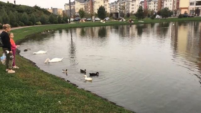 Природа Краснодара