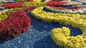 25 Идей удивительных и красивых форм цветочных клумб