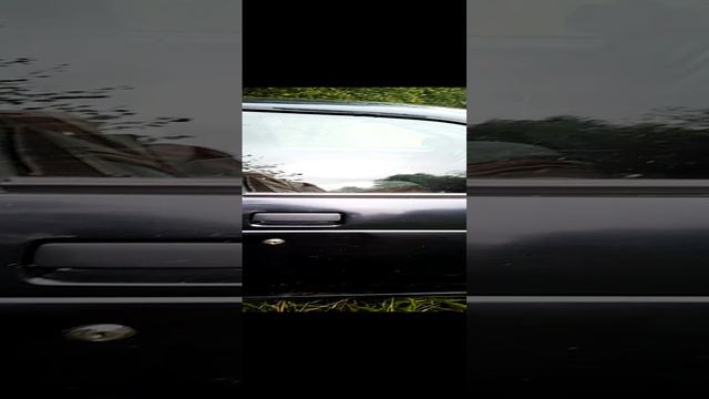 VID_20240802_085453.mp4