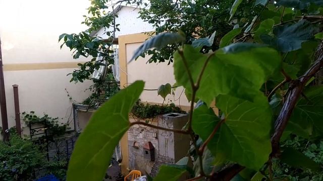 #ВИТЯЗЕВО - Обзор Гостевой дом "Ирийский сад". Настоящий летний отдых.
