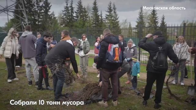Волонтёрам удалось собрать более 10 тонн мусора