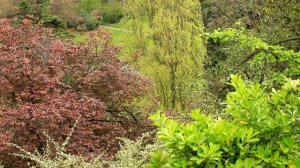 Le parc des Buttes-Chaumont , Paris Nature, Flowers, Zen Meditation Relaxation Aries Media HD V0041