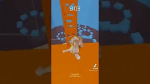 Истории роблокс из тик тока??
