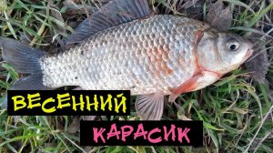 Ловля Весеннего КАРАСЯ 19 марта 2021 на ФЛЭТ-Фидер.