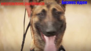 ТОП 25 БИЗНЕС ИДЕЙ В ГАРАЖЕ ДЛЯ МАЛОГО БИЗНЕСА