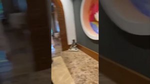 Kilikya palace 5* Goynuk Киликия палас Гёйнюк 5* май 2021
