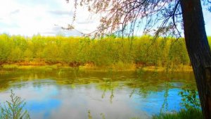 Малые реки России. Терешка