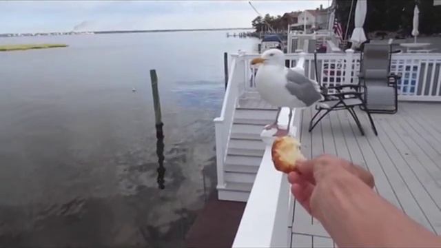 James Nakason - Hero (Cover Version of Enrique Iglesias) смотреть онлайн