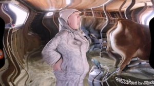Злая, Оля. Обзор на деревенский дневник очень многодетной.