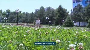 Термоядерный синтез: новый ускоритель частиц в Астане