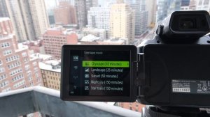 Nikon P950-In Action!