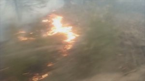Пожар в Мордовском заповеднике, август 2021. Личный опыт.
